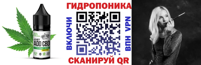 Canna-Cookies конопля как найти закладки OMG ссылки Дигора