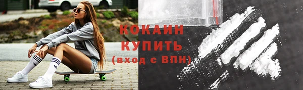 сатива Беломорск