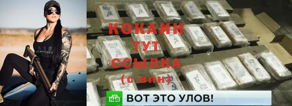 сатива Беломорск