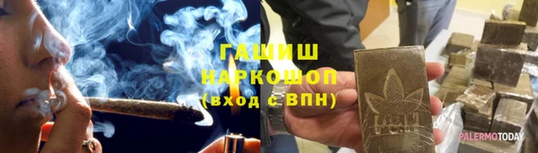 сатива Беломорск