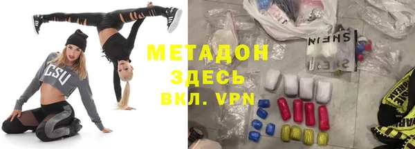 сатива Беломорск