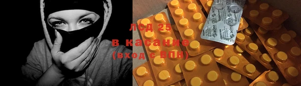 сатива Беломорск