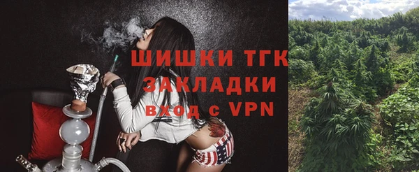 mdma Богородицк