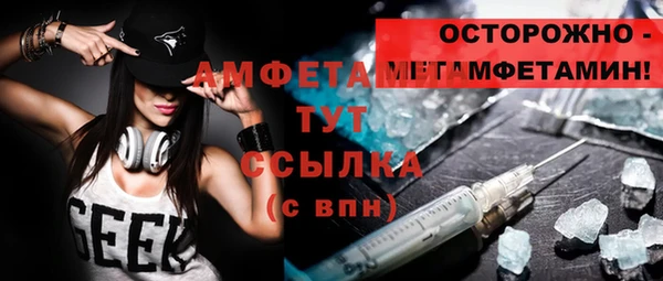 сатива Беломорск