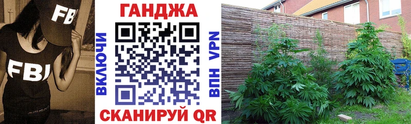 Канабис индика  Дигора 